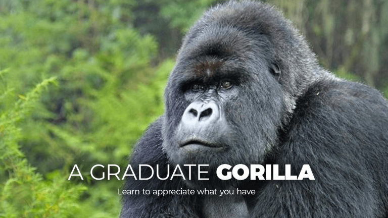 educated gorilla - Axhela digital - Learn how to apprecite what you have aas you look for what ysaou don't