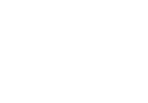 SF EXPRESS