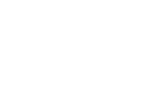 YSAU