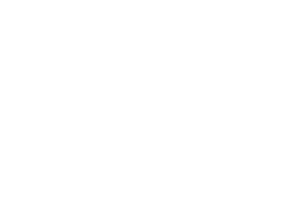 amal carpets